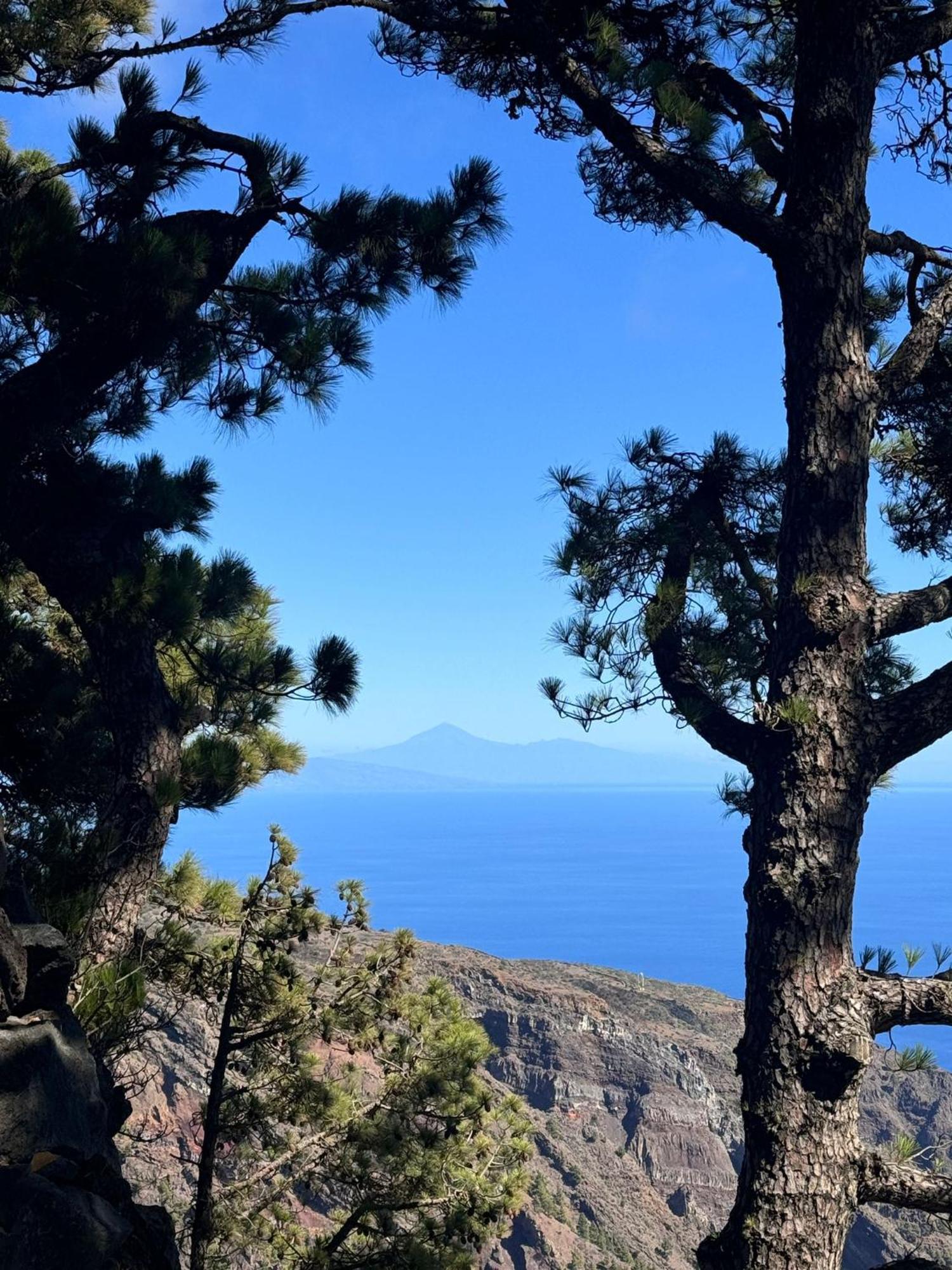 Apartamento El Rincon La Restinga Rum bild